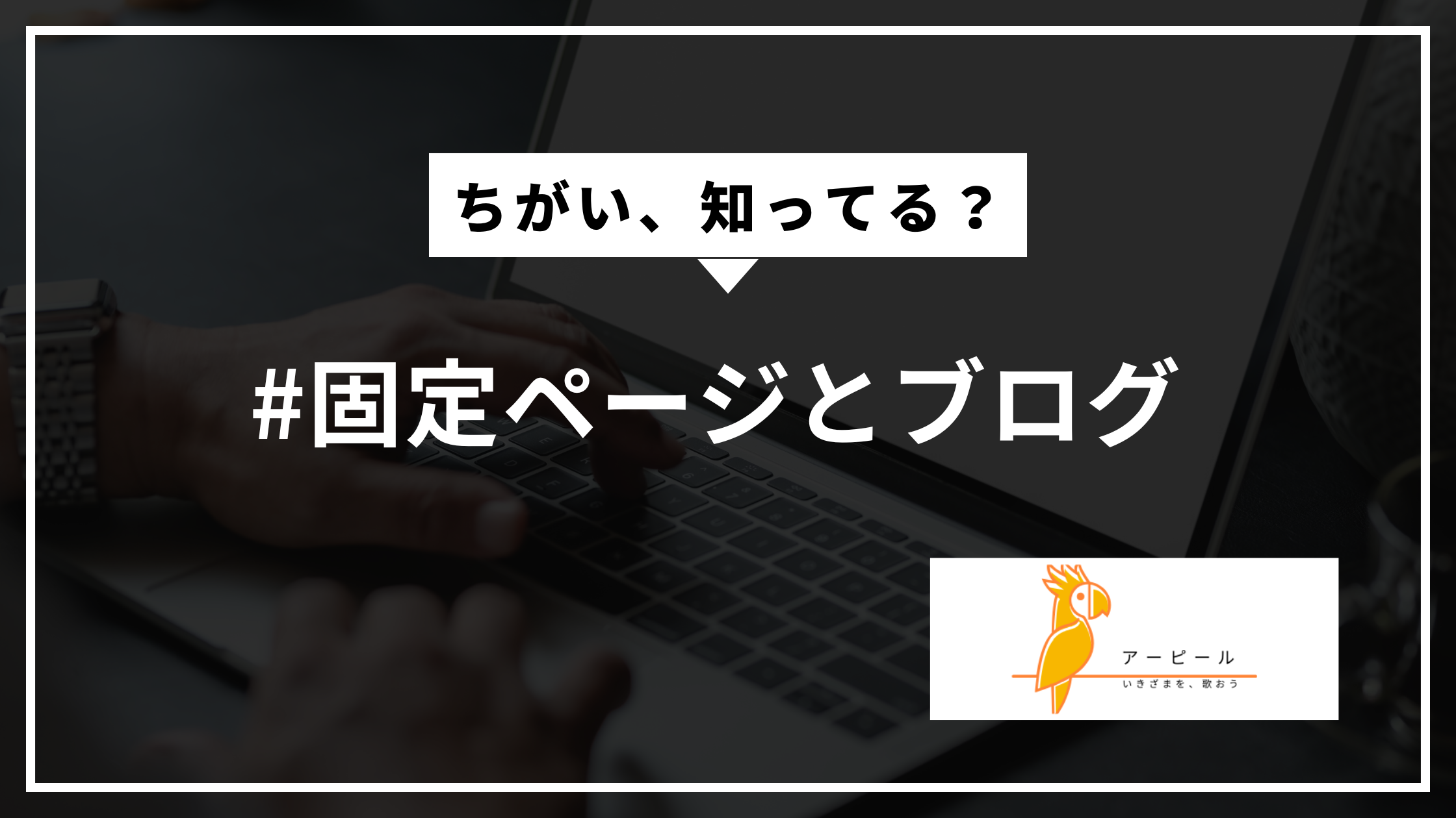 固定ページとブログの違いは？│初心者向けにわかりやすく解説